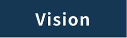vision