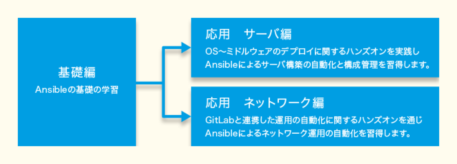 トレーニング内容